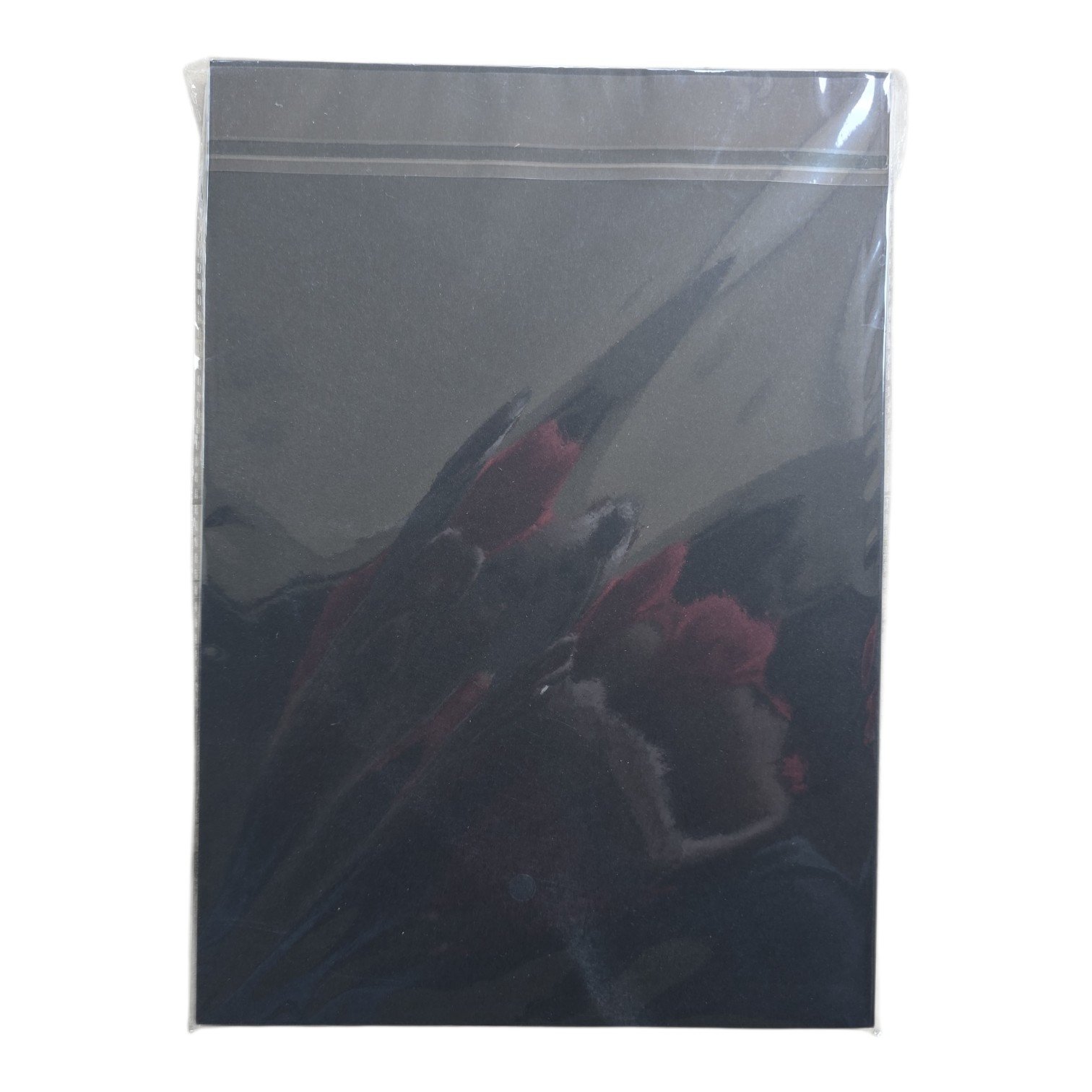 FALCON Color A4 Black 100